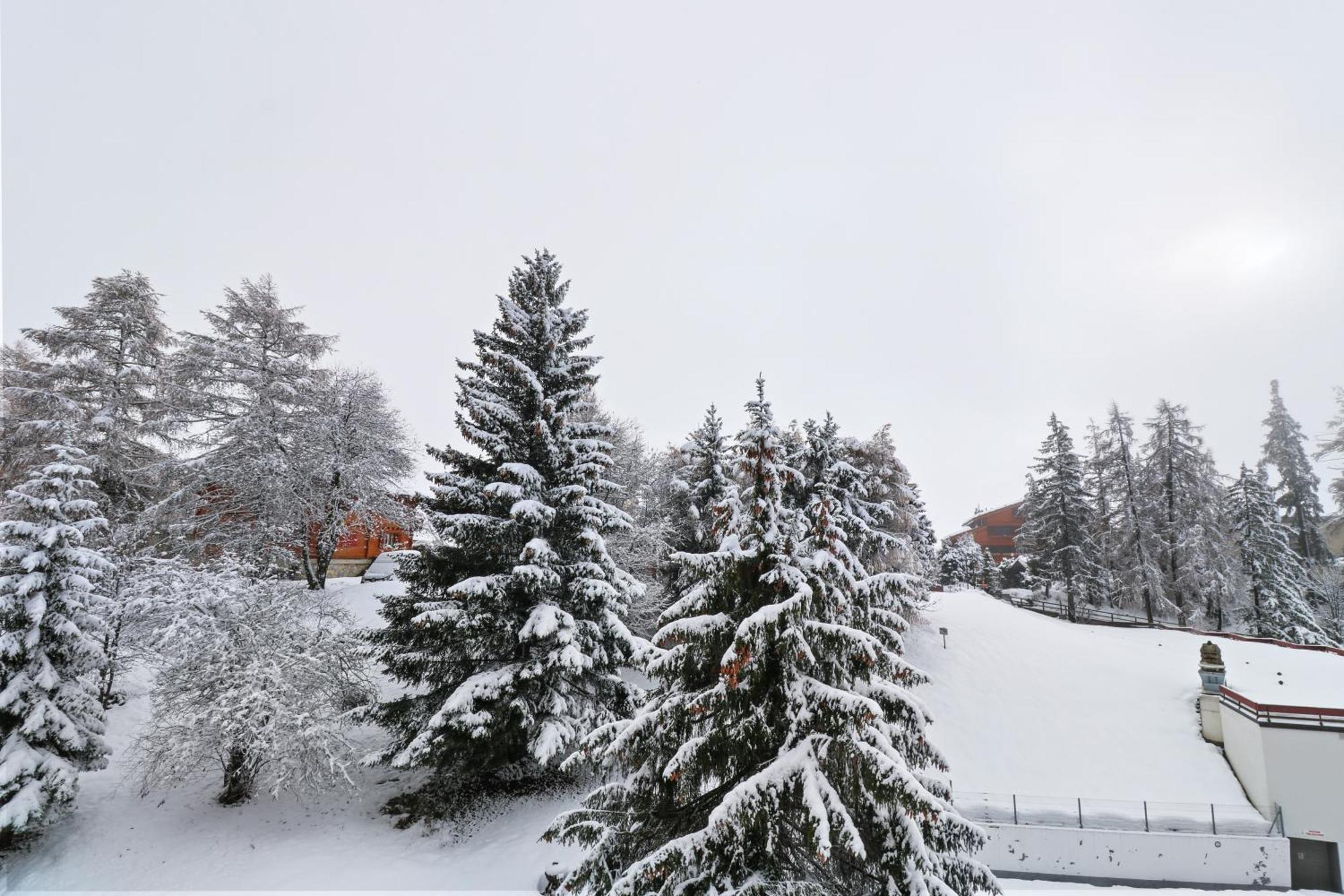 Joli Studio Avec Parking Gratuit Crans-Montana Eksteriør billede